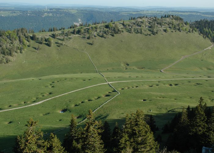Chemins chouettes — Towards Chasseral