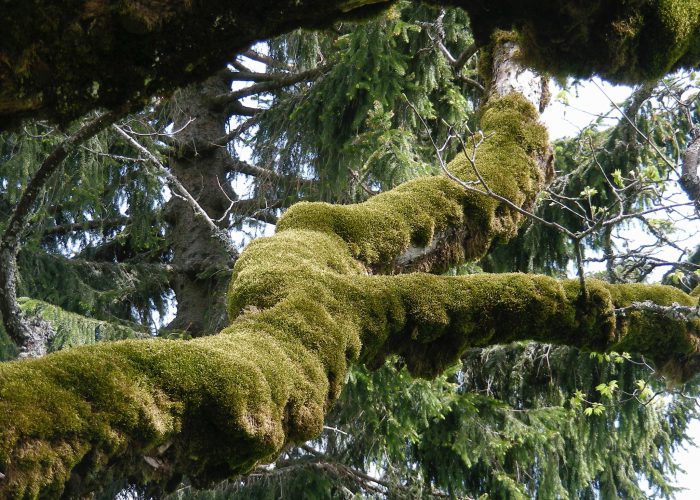 4579333d2207-Balade7-Grognerie-1-700x500