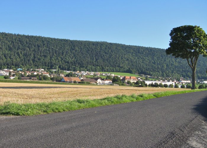 4a6d33c53008-Balade1-Cernier-700x500
