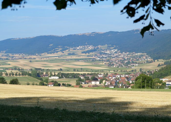 Chemins chouettes — Die Viehdurchgänge